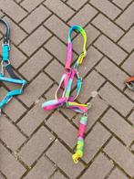 Regenboog halster maar Full, Dieren en Toebehoren, Paarden en Pony's | Hoofdstellen en Tuigage, Ophalen of Verzenden, Zo goed als nieuw
