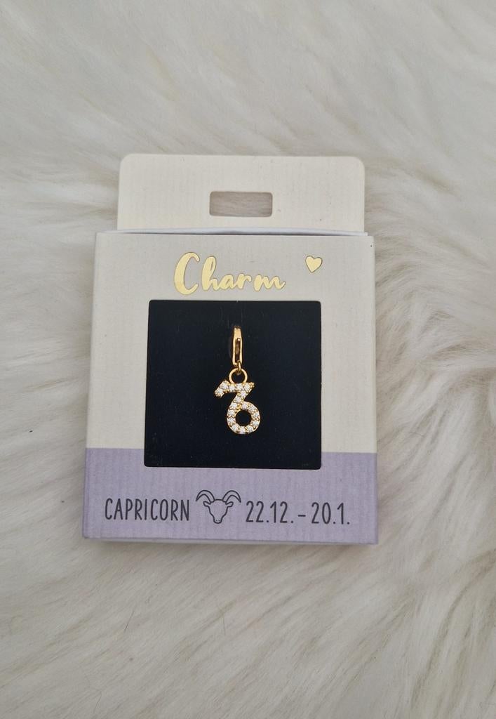 Sterrenbeeld hangertje goud, Sieraden, Tassen en Uiterlijk, Overige merken, Overige materialen, Nieuw, Ophalen of Verzenden