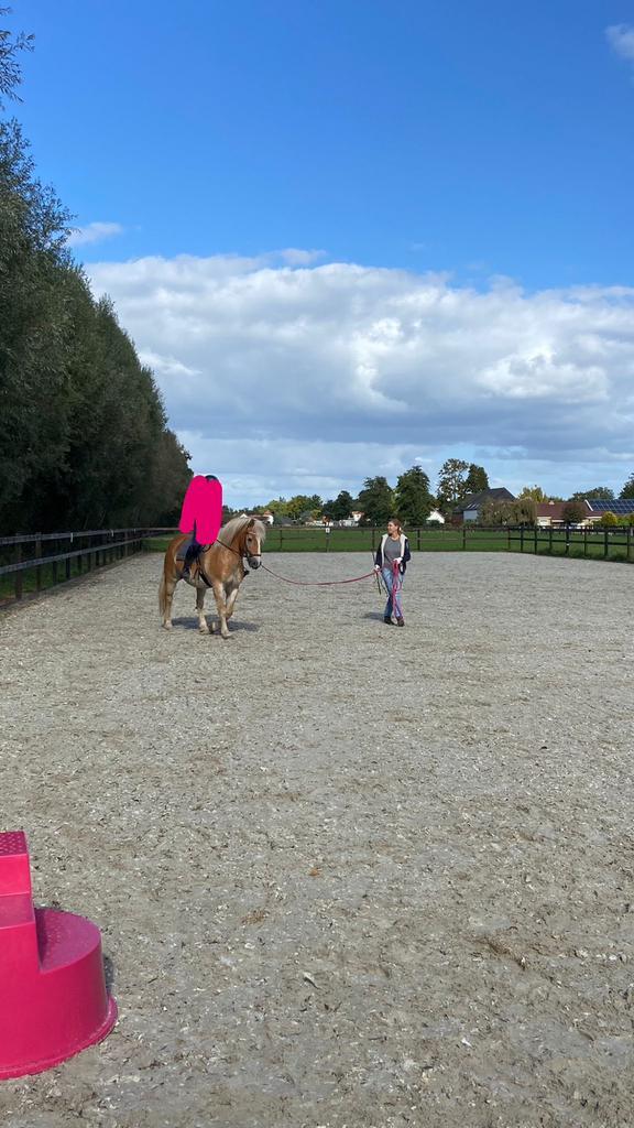 **Paardrij Instructie aan huis* | Dressuur, Bixie, grondwerk, Diensten en Vakmensen, Dieren | Paarden | Verzorging, Oppas en Les