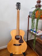 APC EA100 gitaar western, Muziek en Instrumenten, Ophalen of Verzenden, Gebruikt, Western- of Steelstringgitaar
