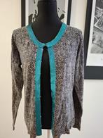 Didi vest met glitter - Maat L, Ophalen of Verzenden, Zo goed als nieuw, Maat 42/44 (L)