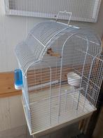 Vogel kooi, Dieren en Toebehoren, Vogels | Hokken en Kooien, Ophalen, Zo goed als nieuw, Metaal, Vogelkooi