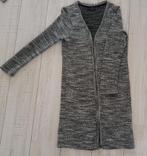 Vest, Ophalen of Verzenden, Zo goed als nieuw, Maat 42/44 (L), Grijs