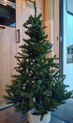 Triumph tree kerstboom 155 hoog, Ophalen of Verzenden, Gebruikt