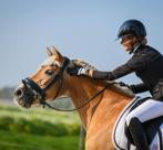 Professionele dressuurinstructie aangeboden, Dieren en Toebehoren, Paarden en Pony's | Overige Paardenspullen, Ophalen, Zo goed als nieuw