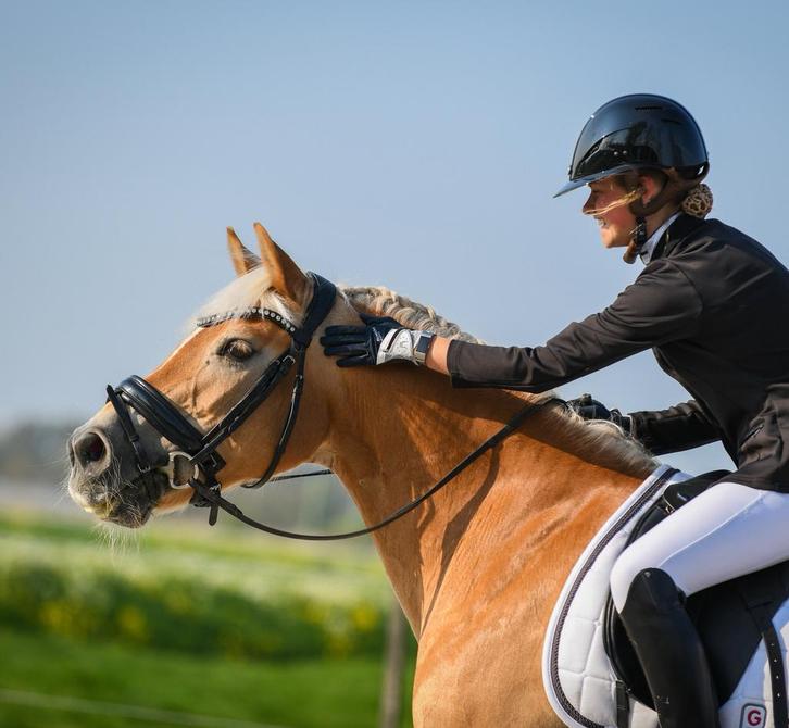 Professionele dressuurinstructie aangeboden, Dieren en Toebehoren, Paarden en Pony's | Overige Paardenspullen, Zo goed als nieuw