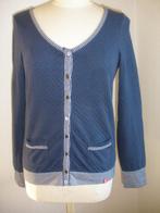 ESPRIT vest kobalt blauw met wit maat S, Kleding | Dames, Truien en Vesten, Maat 38/40 (M), Blauw, Ophalen of Verzenden, Zo goed als nieuw