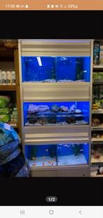 Aquarium stelling, Dieren en Toebehoren, Vissen | Aquaria en Toebehoren, Ophalen, Gebruikt, Leeg aquarium