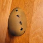 squizy ei, Ophalen of Verzenden, Zo goed als nieuw, Jongen of Meisje