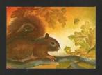 Eekhoorn Sciurus Vulgaris Knaagdier door Baukje Exler., Verzamelen, Ansichtkaarten | Dieren, Ophalen of Verzenden, 1980 tot heden