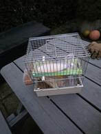 Vogel tentoonstelling kooitje, Dieren en Toebehoren, Ophalen