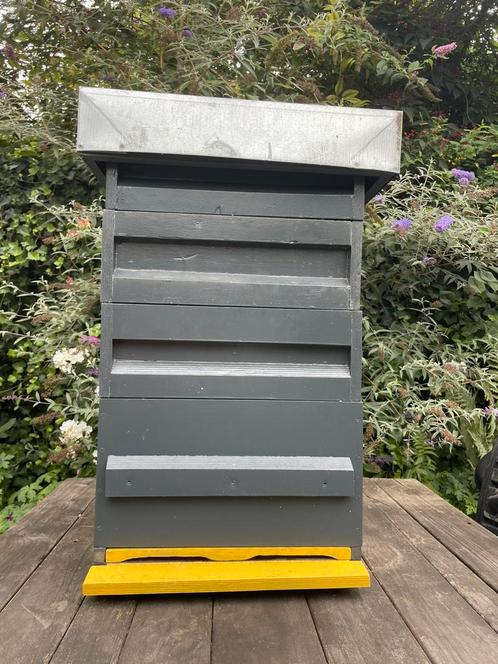Spaarkast simplex met 3 honingkamers, Dieren en Toebehoren, Insecten en Spinnen, Bijen