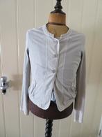 Dames vest - jasje Sandwich maat XL, Kleding | Dames, Truien en Vesten, Blauw, Maat 46/48 (XL) of groter, Ophalen of Verzenden