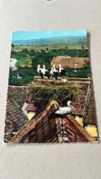 Ooievaars op dak D’Alsace Frankrijk, Ophalen of Verzenden, 1960 tot 1980, Gelopen, Vogel