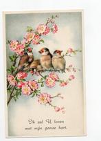 Christel. kaart. Vogels op een tak, Verzamelen, Ansichtkaarten | Themakaarten, Ophalen of Verzenden, Gelopen, Overige thema's