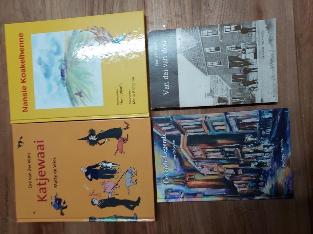 4 groninger boeken nog netjes., Ophalen of Verzenden, Gelezen