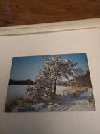 ROB CHRISPIJN. SNEEUWLANDSCHAP, Ophalen of Verzenden