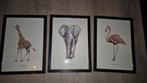 BINTJE Dieren Posters met Lijst (3 stuks), Ophalen of Verzenden, Zo goed als nieuw, Foto of Poster