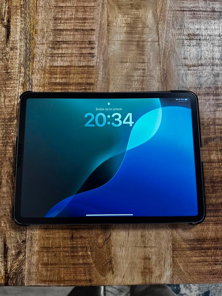 Ipad pro 11 inch 256gb, Computers en Software, Apple iPads, Zo goed als nieuw, Apple iPad, 11 inch, Grijs, Ophalen of Verzenden