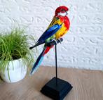 Opgezette prachtrosella, Ophalen of Verzenden, Nieuw, Vogel, Opgezet dier
