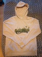 Efteling hoodie, Ophalen of Verzenden, Zo goed als nieuw