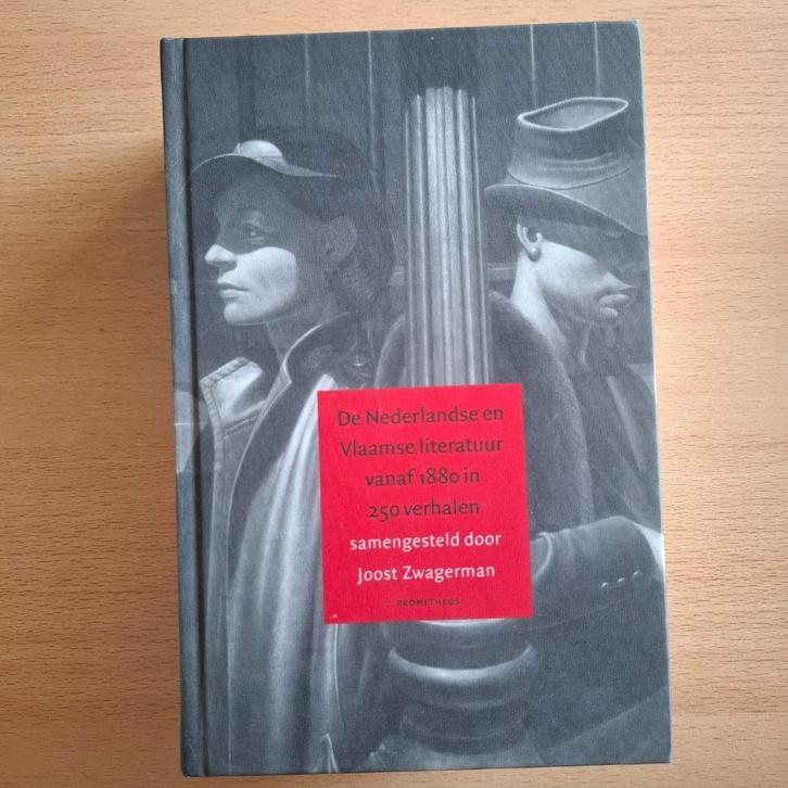 De Nederlandse en Vlaamse Literatuur vanaf 1880, Boeken, Literatuur, Nieuw, Nederland, Ophalen of Verzenden