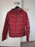 dames donsjas Esprit maat XS, Ophalen of Verzenden, Zo goed als nieuw, Maat 34 (XS) of kleiner, Rood