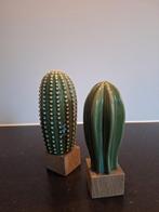 Stenen cactussen samen €6,50, Ophalen of Verzenden, Zo goed als nieuw