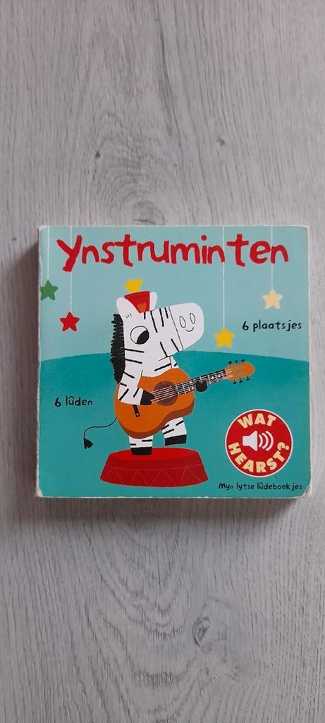 Frysk Ynstruminten boekje foar pjutten (Afúk)., Boeken, Kinderboeken | Baby's en Peuters, Zo goed als nieuw, 3 tot 4 jaar, Ophalen of Verzenden