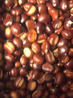 Tamme Kastanjes - Vers uit tuin van moeder, Diversen, Levensmiddelen, Ophalen of Verzenden