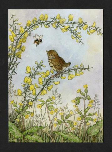 Hommel Lijster Brem door Molly Brett. beschikbaar voor biedingen