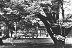 990475 Meerssen Limburg 1968 Rothem Vacantieoord Kasteel, Ophalen of Verzenden, 1960 tot 1980, Gelopen, Limburg