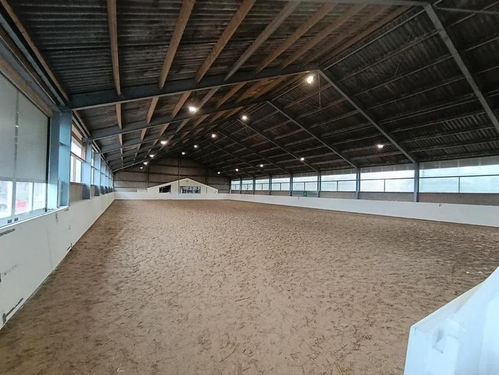 Box vrij op kleinschalige pensionstal. All-in, Dieren en Toebehoren, Stalling en Weidegang, Stalling, Weidegang, 1 paard of pony