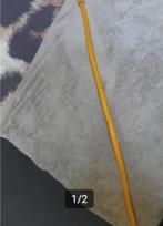 Oker geel smal ceintuur riem college style, Kleding | Dames, Riemen en Ceinturen, Minder dan 3 cm, Tailleriem, Ophalen of Verzenden