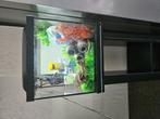 Leuk klein aquarium en toebehoren, Dieren en Toebehoren, Vissen | Aquaria en Toebehoren, Ophalen, Gebruikt, Leeg aquarium