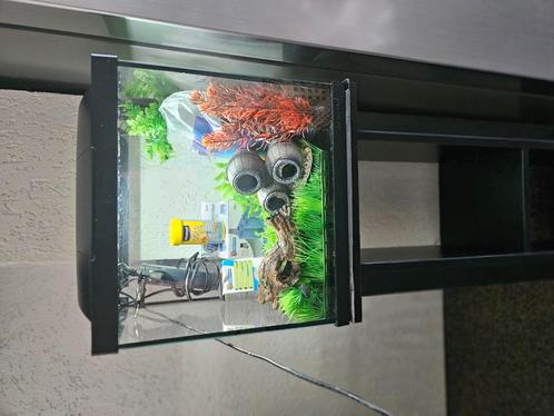 Leuk klein aquarium en toebehoren, Dieren en Toebehoren, Vissen | Aquaria en Toebehoren, Gebruikt, Leeg aquarium, Ophalen