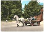 973136	Westerbork	Paard en Wagen	Gelopen met postzegel