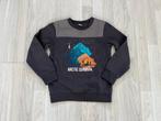 trui 122/128, sweater 122/128, kinderkleding 122/128, Zeeman, Trui of Vest, Ophalen of Verzenden, Zo goed als nieuw