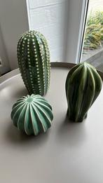 Cactussen drie stuks, Ophalen of Verzenden, Zo goed als nieuw