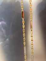 14KT Goud - 22.25 Gram - Ketting - PLATTE MAGNUM, Ophalen, Nieuw, Goud