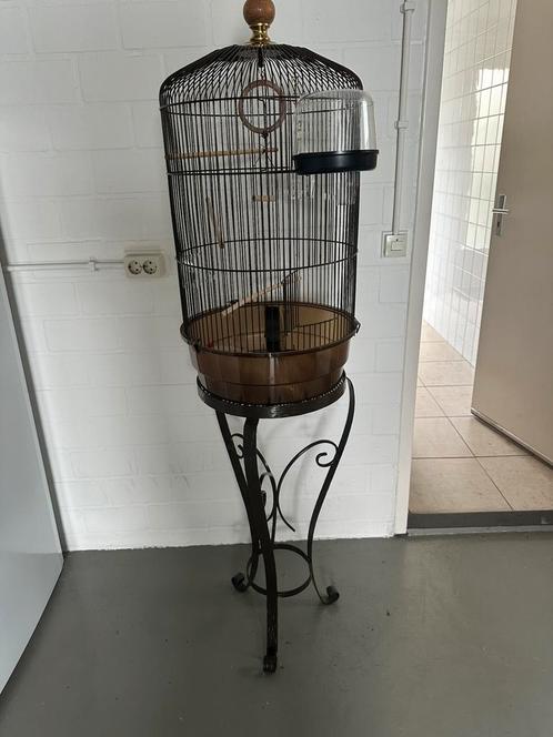 Te koop: Decoratieve Vogelkooi op Standaard, Dieren en Toebehoren, Vogels | Hokken en Kooien, Gebruikt, Vogelkooi, Metaal, Ophalen