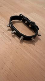 Nieuwe halsband met spikes voor kleine hond, Ophalen of Verzenden, Nieuw