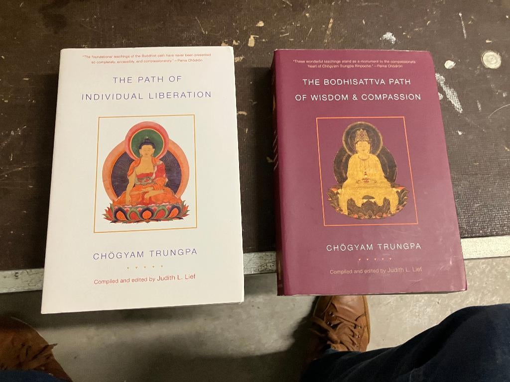 dharma wijsheid individu vrijheid bodhisattva trungpa, Achtergrond en Informatie, Ophalen of Verzenden, Zo goed als nieuw, Overige onderwerpen