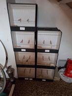 Tentoonstelling kooien, Dieren en Toebehoren, Vogels | Hokken en Kooien, Ophalen of Verzenden, Hout, Vogelkooi