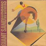 giant sandworms / dont turn away - alt/indie/country/punk, Gebruikt, Verzenden, 7 inch, Single