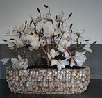 NIEUWE Schelpenvaas 70 cm breed inclusief Magnolia 130,00, Ophalen of Verzenden, Nieuw