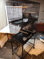 Aangeboden Nieuwe Dubbele Vogelkooi, Ophalen, Nieuw, Metaal, Vogelkooi