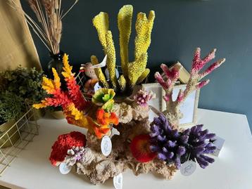Aqua Della koraal reef decoratie beschikbaar voor biedingen