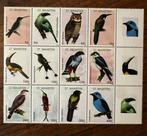 Sint Maarten 2012 Vogels Postzegels - Postfris, Postzegels en Munten, Ophalen of Verzenden, Postfris