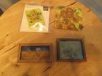 vincent van Gogh items, magneten kaarten onderzetter, Hobby en Vrije tijd, Overige Hobby en Vrije tijd, Ophalen of Verzenden, Nieuw